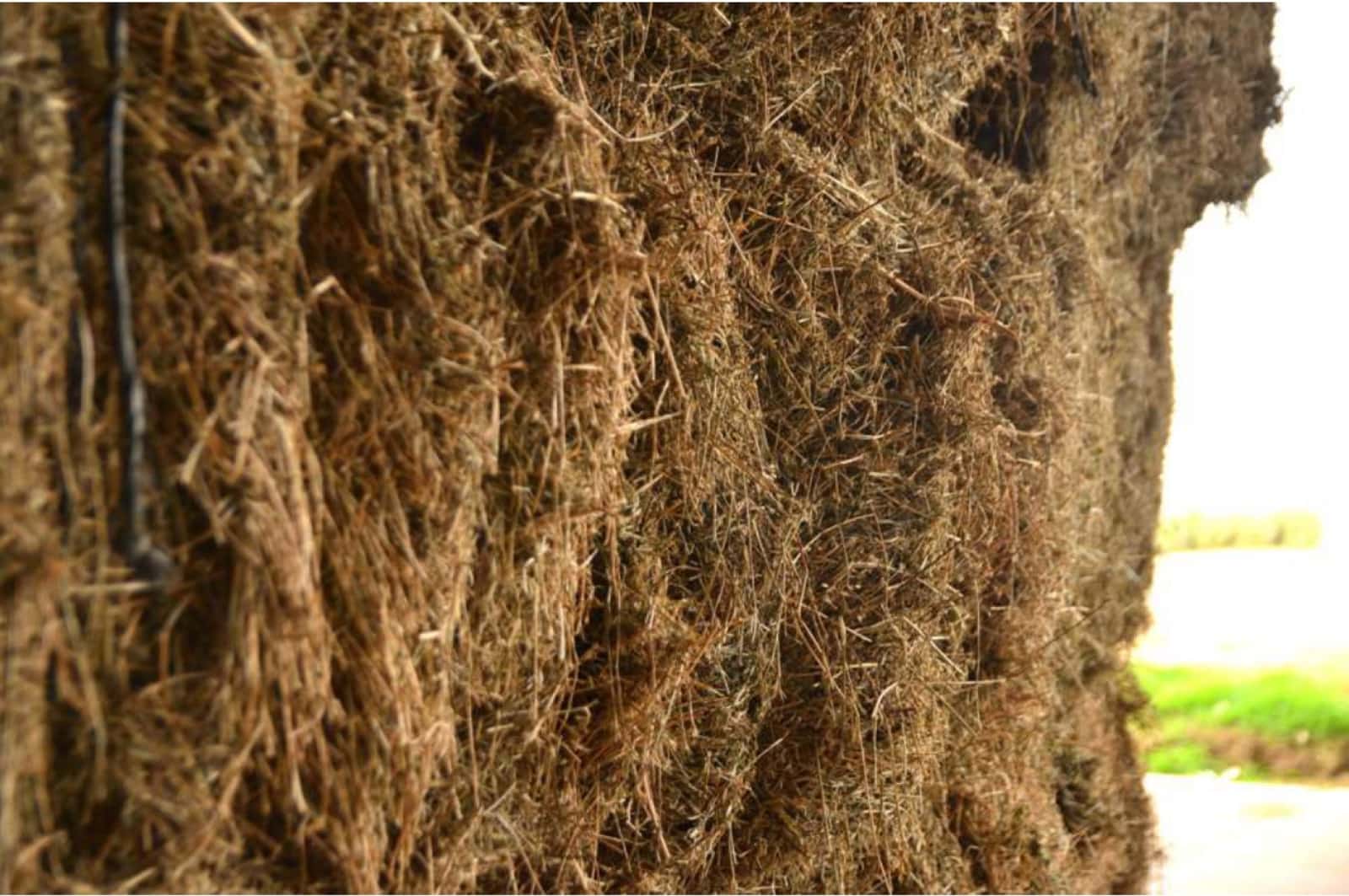 Detail of compacted alfalfa in a large bale