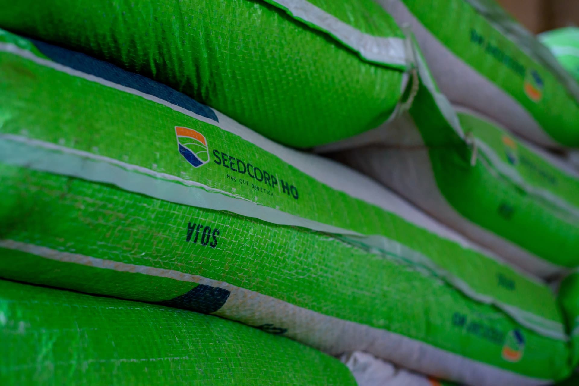 Seeds prepared for conditioning and dispatch
