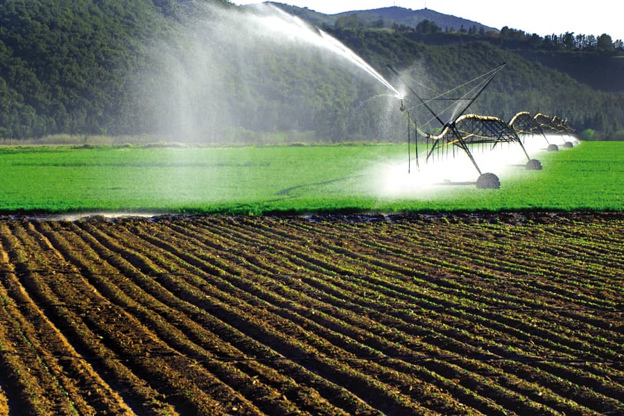 Crop inputs available through commercial enquiry